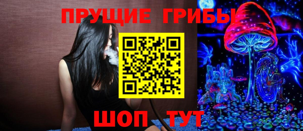 Галлюциногенные грибы ЛСД  Вход с VPN  Галлюциногенные грибы Psilocybe  Алексин 
